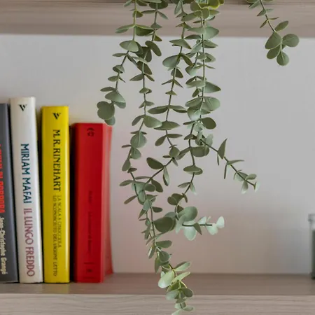 Parkview House - Carozzi Apartment